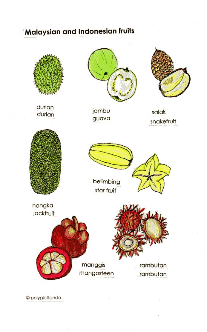 malay fruits