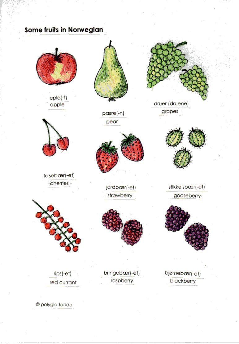 fruits norwegian