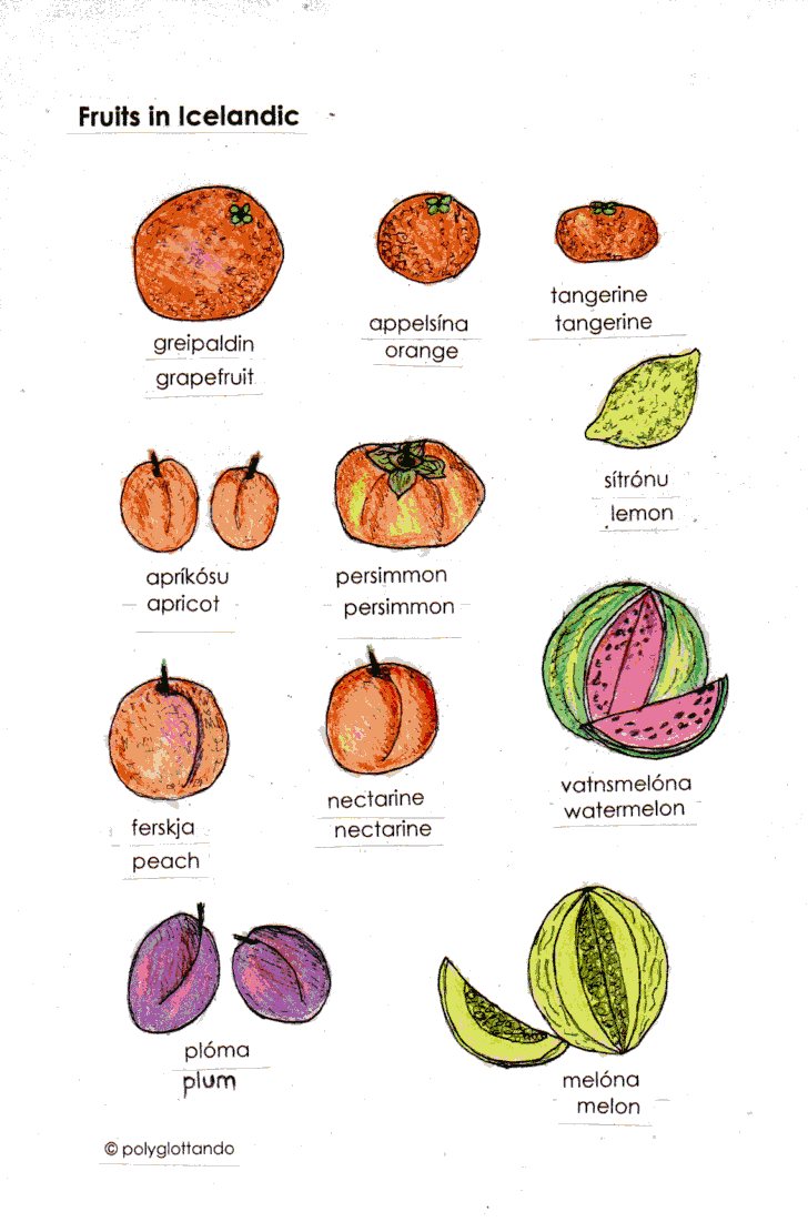 icelandic fruits